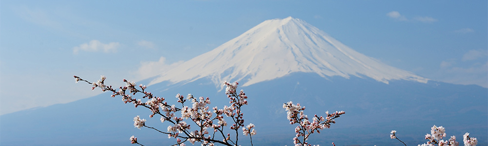 autour de Tokyo - ML10I033 - Celebrity Millenium® (Classe Millenium) - Celebrity Cruises®