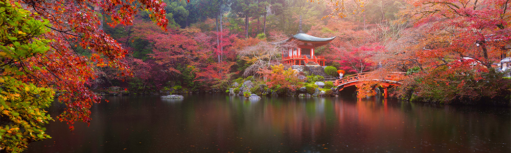 Grand voyage autour du Japon - ML14I138 - Celebrity Millenium® (Classe Millenium) - Celebrity Cruises®