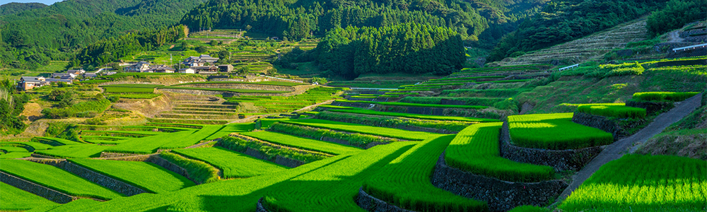 Chine et Japon - QN05I656 - Quantum Of The Seas - Royal Caribbean® International