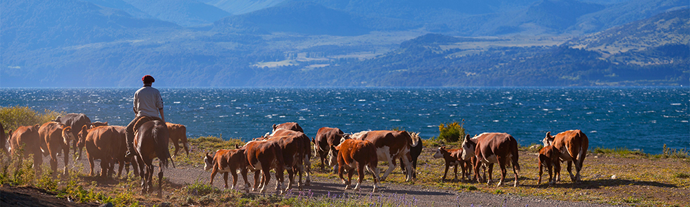 Aventure en Patagonie avec National Geographic - B020321 - Le Boréal - Ponant
