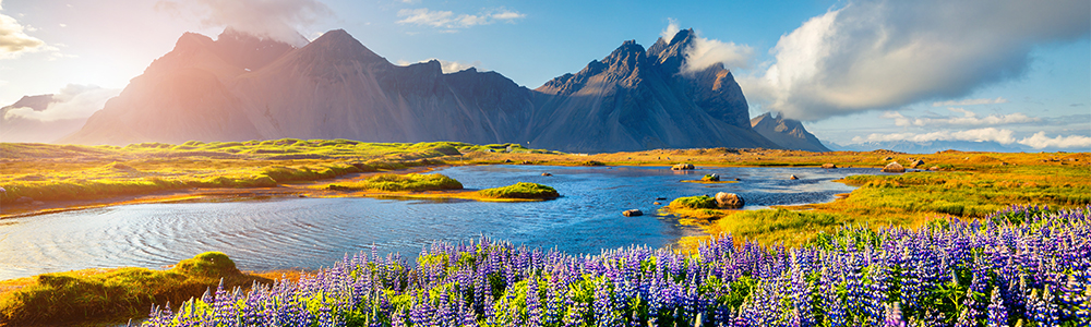 Autour de Reykjavik - Star Legend - Windstar Cruises
