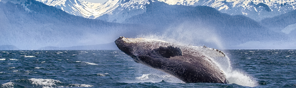Vancouver / Vancouver - K152
