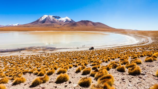 CIRCUIT BOLIVIE, ENTRE LAGUNES ET SALAR
