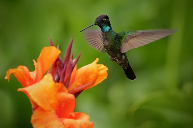 Autotour clé en main Costa Rica - Découverte des incontournables 2019