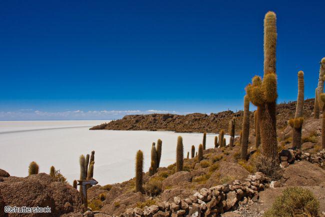 Circuit combiné Pérou-Bolivie, Andes majestueuses - 2021 - 16 personnes maximum