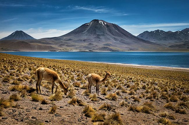Circuit Chili, Bolivie, Argentine - Déserts Andins 2021 - 19J/16N - 12 personnes maximum
