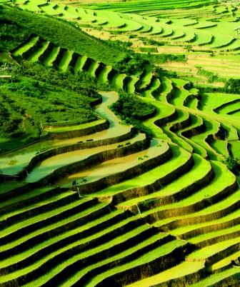 LES INCONTOURNABLES DU VIETNAM-CAMBODGE - 15J/12N 2017