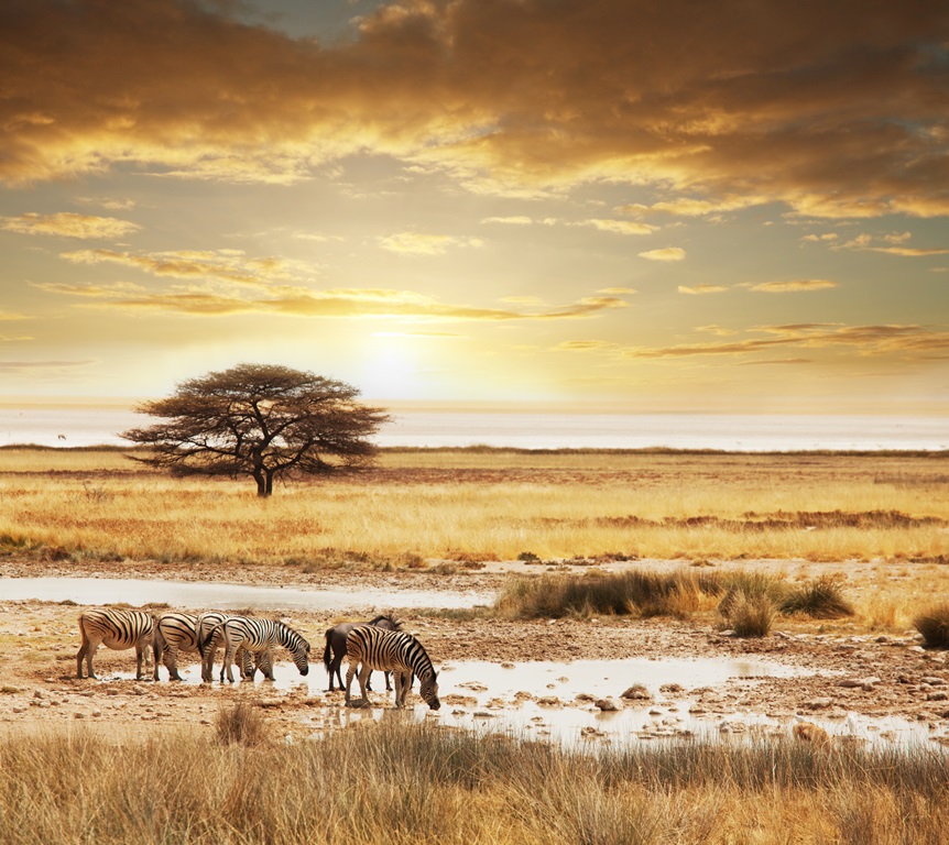 I LOVE AFRIQUE DU SUD - 12J/9N - HIV17/18