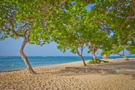 RESIDENCE TROPICALE - 9J/7N
