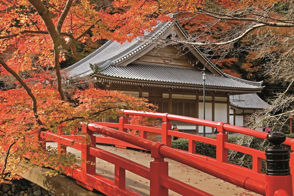 LES INCONTOURNABLES DU JAPON 11J/8N - Limité à 28 pers. 2019
