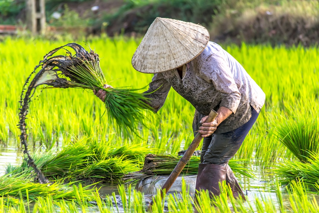 LES INCONTOURNABLES DU VIETNAM 12J/9N