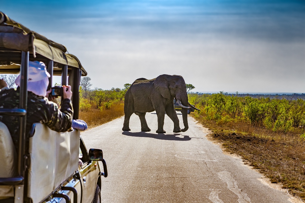 I LOVE AFRIQUE DU SUD & CHUTES VICTORIA -15J/13N