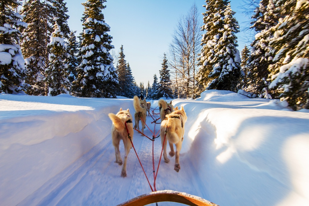 CAP SUR LA NORVEGE EN HIVER - 7J/6N