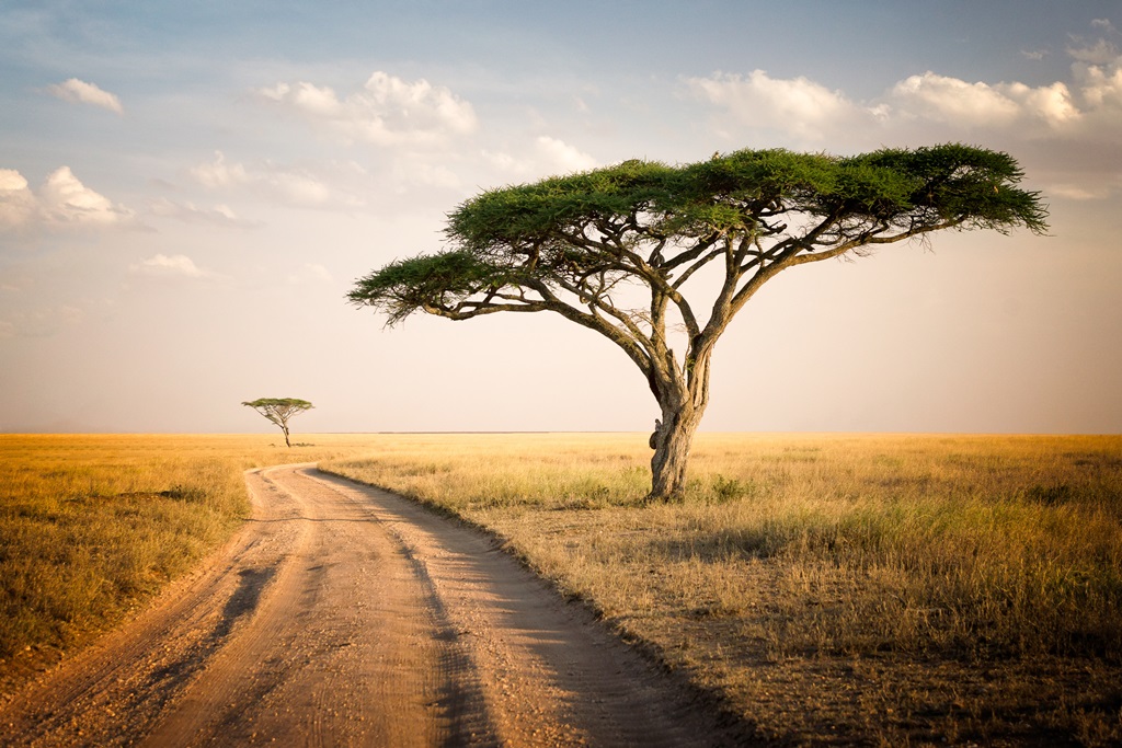L'ESSENTIEL DE LA TANZANIE ET ZANZIBAR - 10J/7N - Limité à 20 pers.