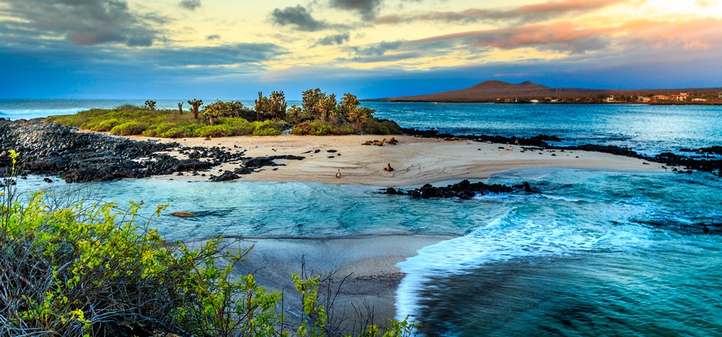 DECOUVERTE DE L EQUATEUR + EXT. GALAPAGOS 16J/14N - Limité à 18 pers.