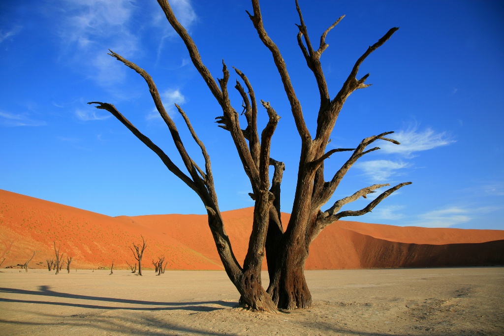 COULEURS DE NAMIBIE ET FISH RIVER CANYON - 17J/14N