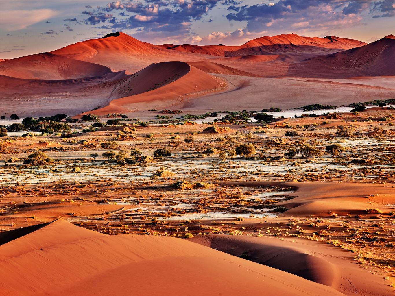 SAFARIS & DUNES 12/9N - Limité à 12 pers.