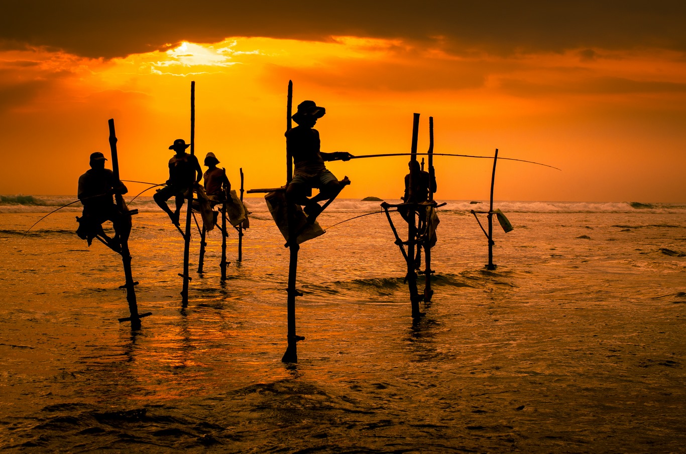 I LOVE SRI LANKA + CENTARA CEYSANDS 4*NL - 13J/10N - limité à 28 pers.