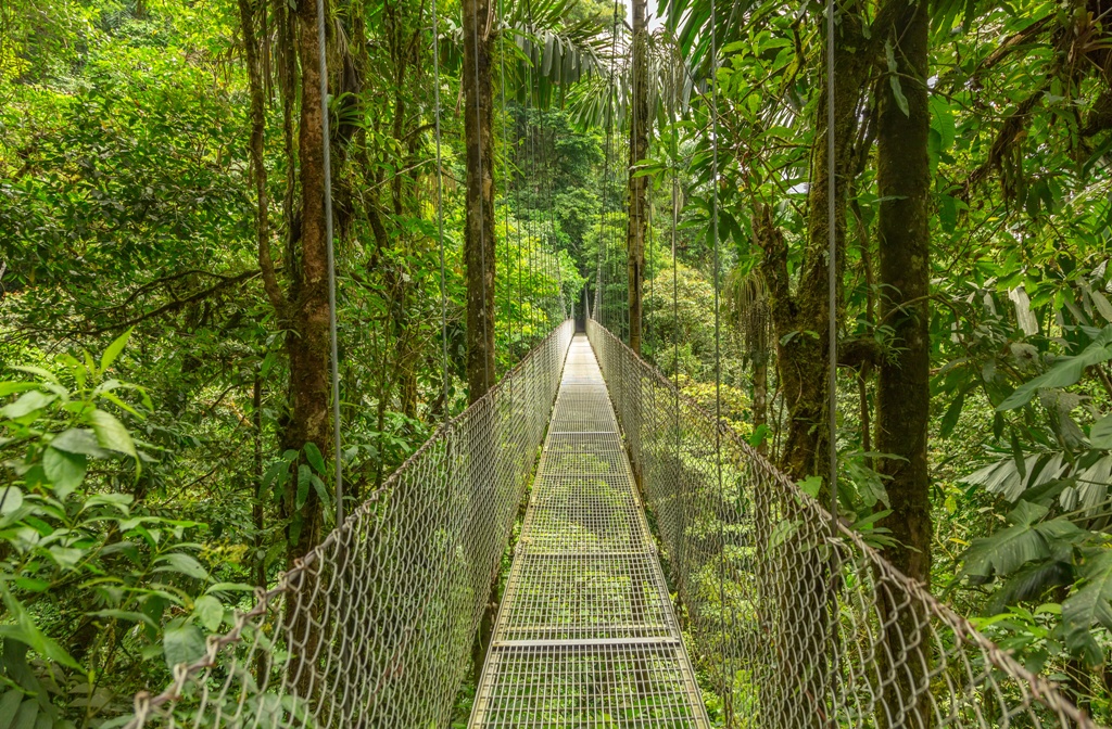 AUTOTOUR - SUR LES ROUTES DU COSTA RICA EXT PLAYA TAMBOR - 13J/11N