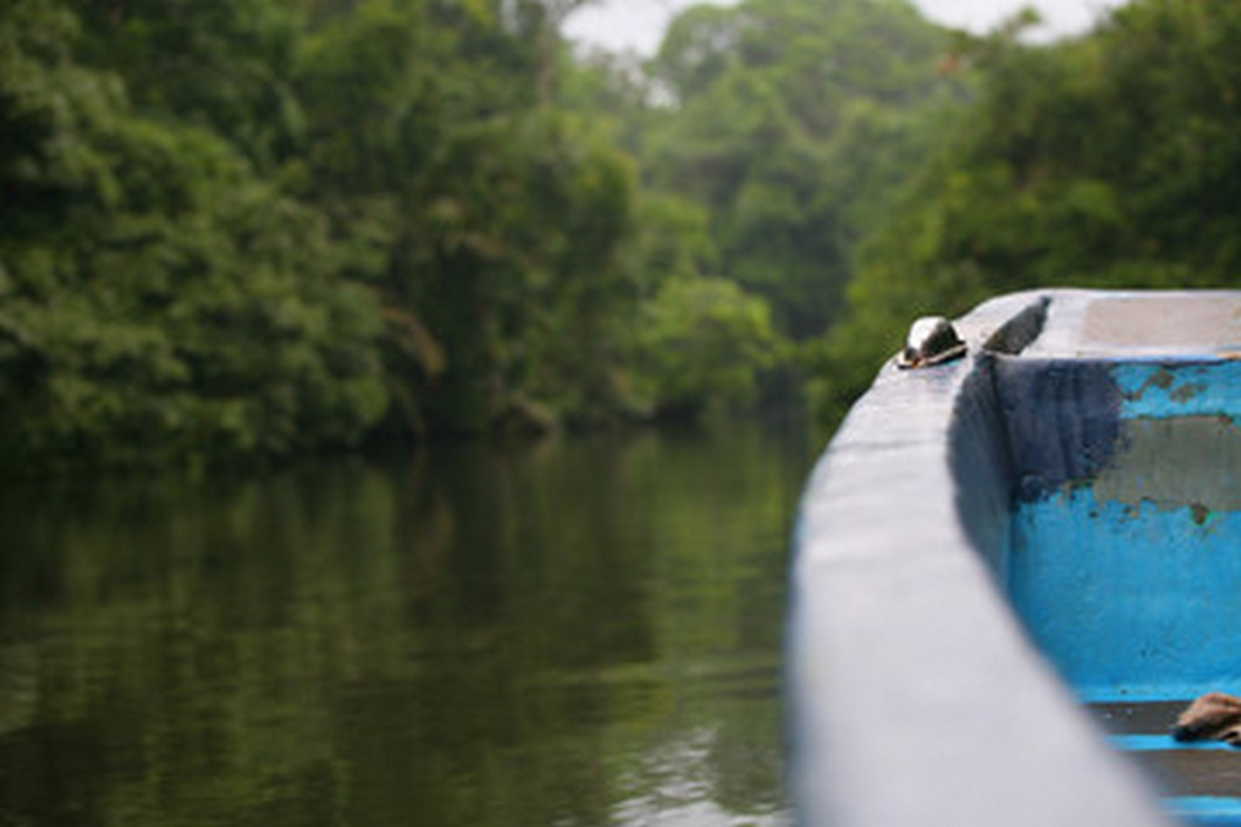 AUTOTOUR - SUR LES ROUTES DU COSTA RICA + EXTENSION TORTUGUERO - 13J/11N