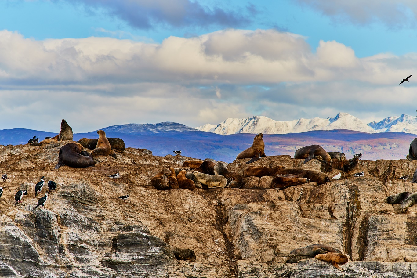 COULEURS DE PATAGONIE - 13J/ 10N - Limité à 18 pers. 2021