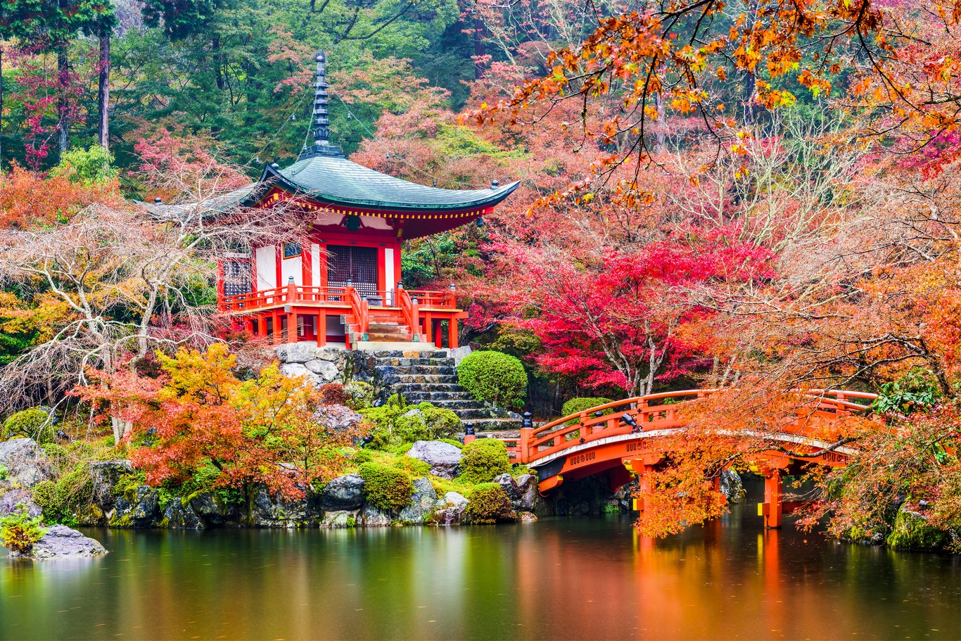 REGARD SUR LE JAPON - 11J/9N