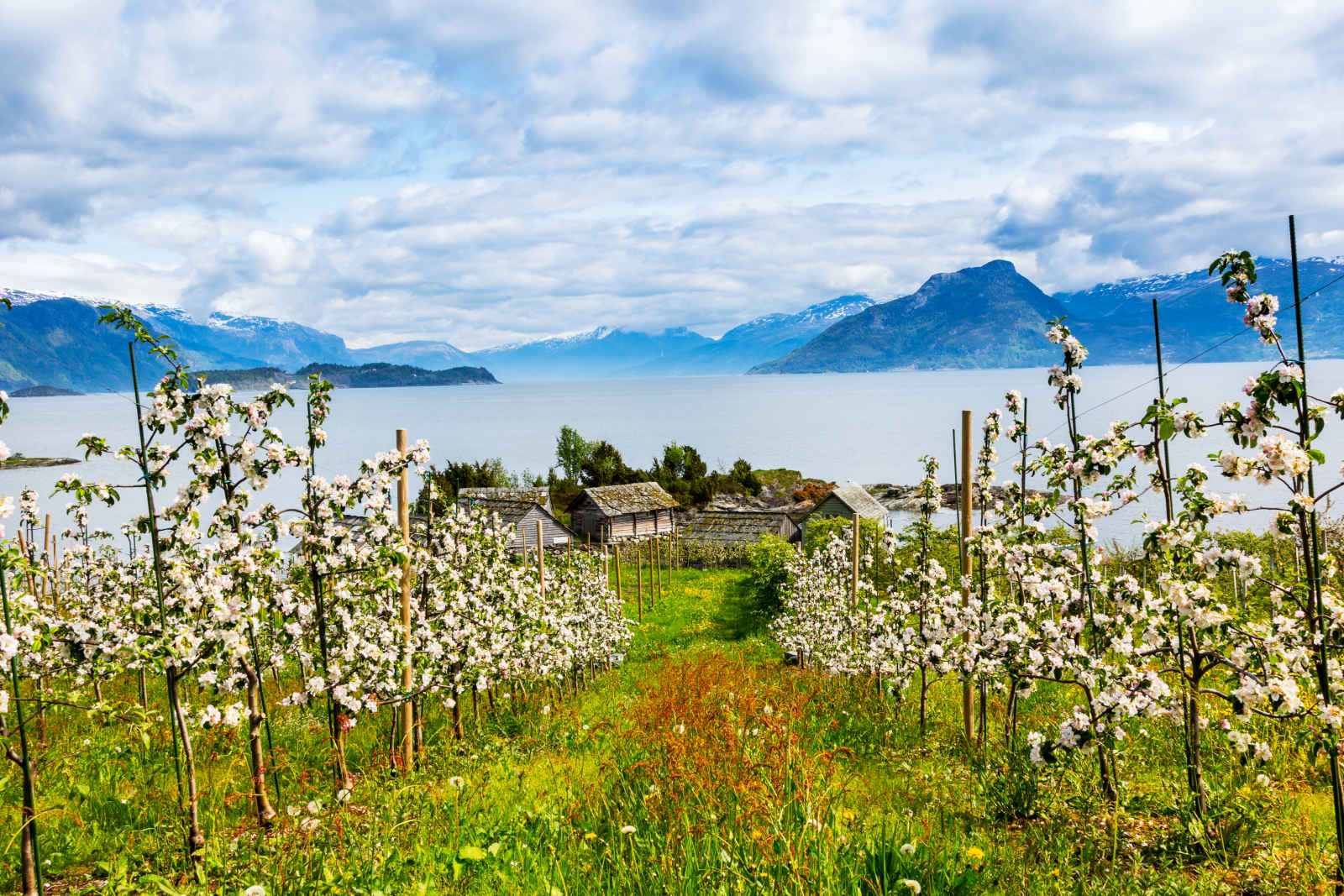 Autotour - Au pays des fjords