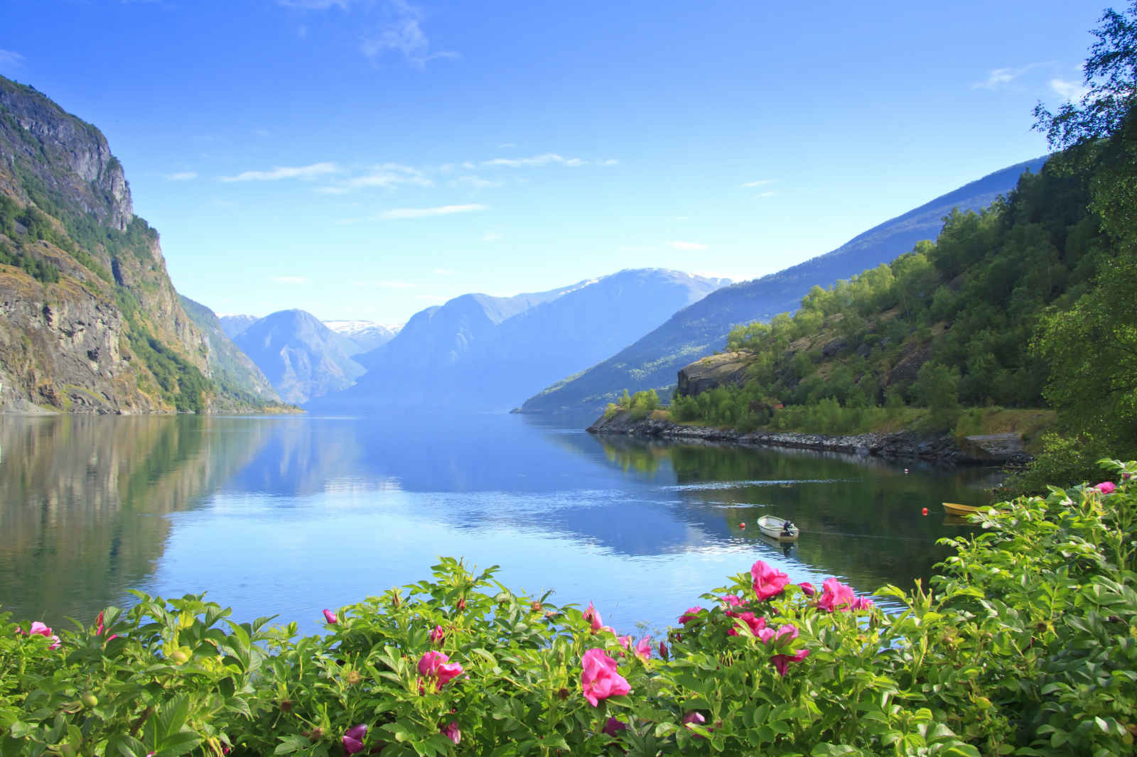Essentiel des fjords