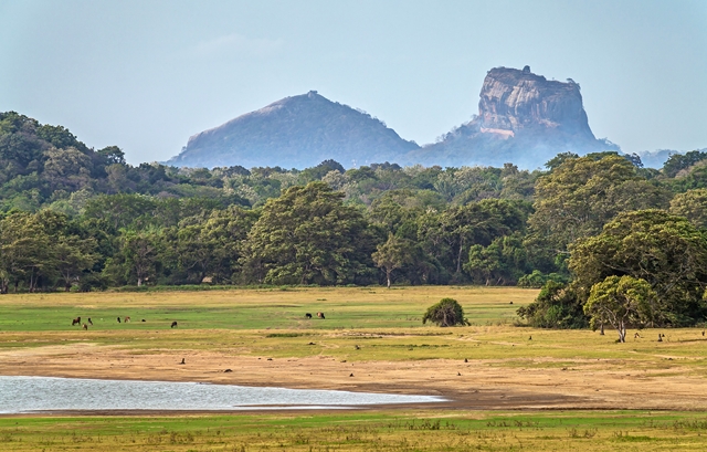 Splendeurs du Sri Lanka & extension Kalutara 13J/10N - 2023