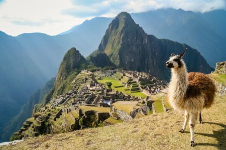 Explorations du Pérou 14J/12N - 2024