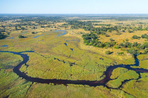 Immersion au Botswana & Extension Chutes Victoria 13J/10N - 2023