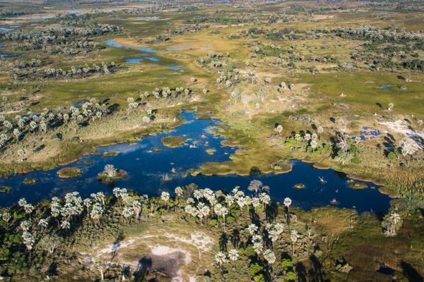 Immersion au Botswana & Extension Chutes Victoria 13J/10N - 2023