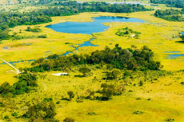 Immersion au Botswana & Extension Chutes Victoria 13J/10N - 2023