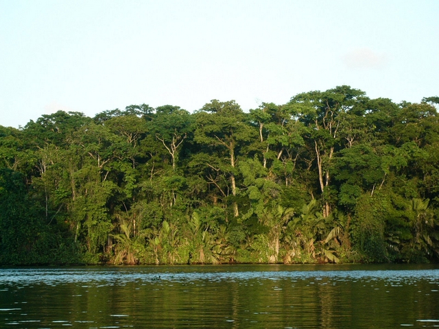 Douceurs du Costa Rica & extension Parc National Manuel Antonio 14J/12N - 2023