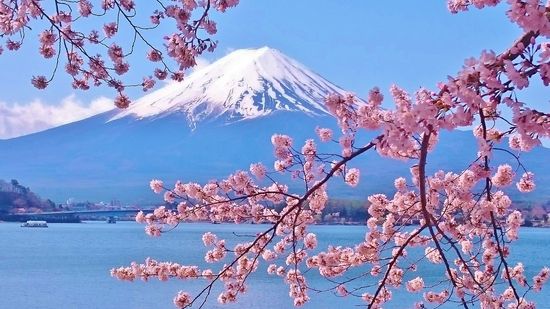Splendeurs du Japon 10 ou 11J/8N - 2023