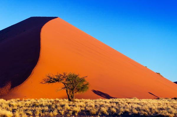 Splendeurs de Namibie 11J/08N  - 2023