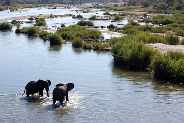 Splendeurs d'Afrique du Sud & Extension Chutes Victoria 14J/11N - 2023