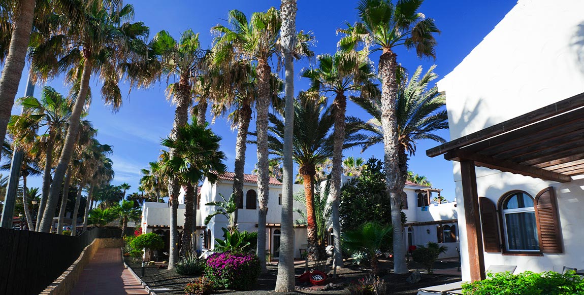 espagne-canaries-fuerteventura-hotel-sejour-club-Barcelo Castillo-Beach-Resort-3.jpg