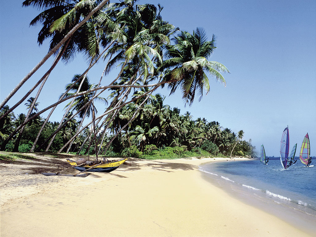 The Palms