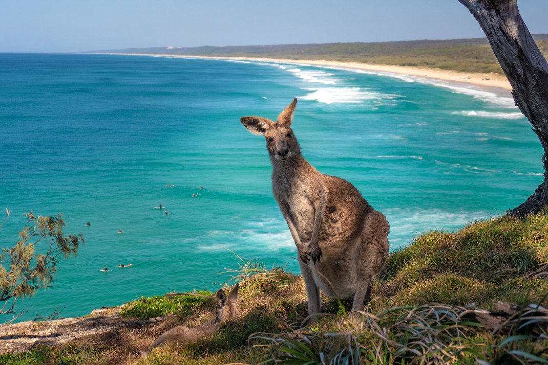 Seemore Voyages Circuit L'Australie, à la découverte d'un continent