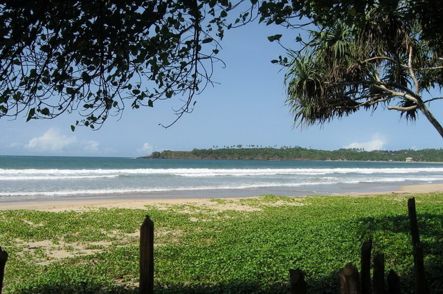  - Photo
