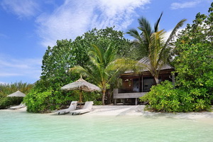  - Photo