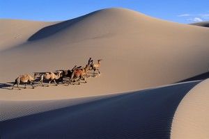 Circuit Privé Au coeur des steppes mongoles - Mongolie