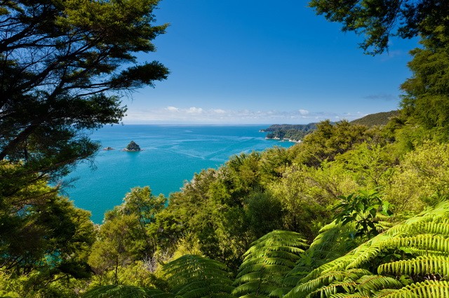 Panorama néo-zélandais - Nouvelle-Zélande