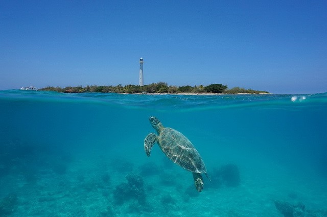 Photo Autotour Alma Voyages