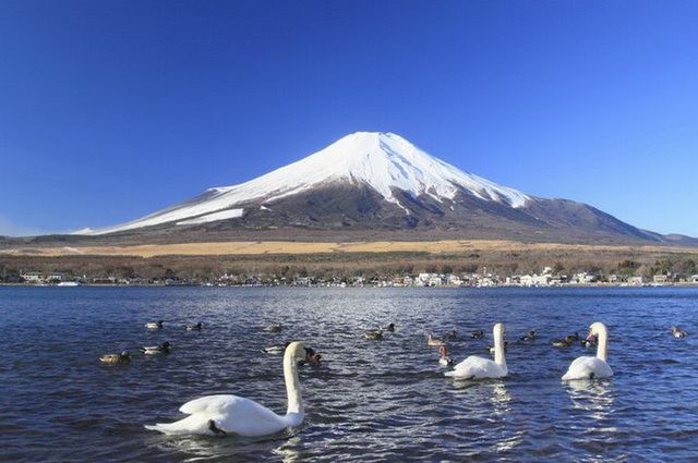 Samourais et Jardins zen + Alpes Japonaises avec Emirates - Japon