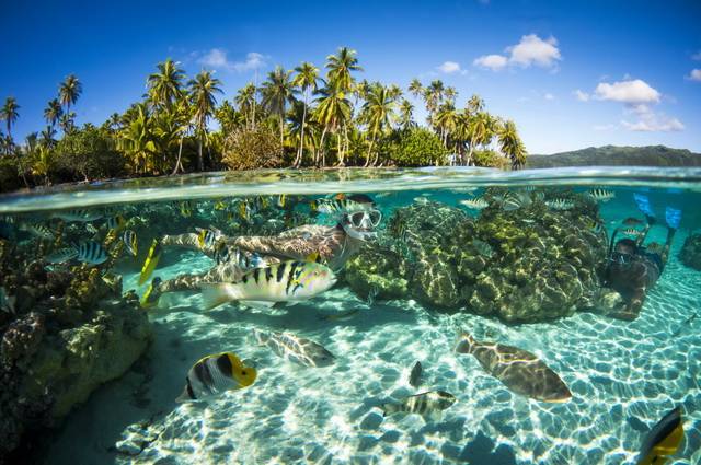 Séjour-combiné Vol + hôtels Polynésie, Moorea et Bora-Bora - sélection confort