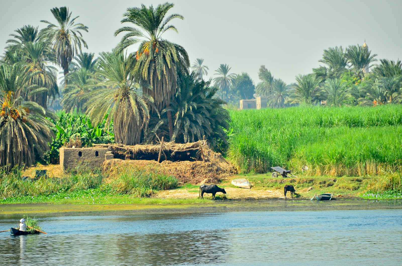 Egypte éternelle