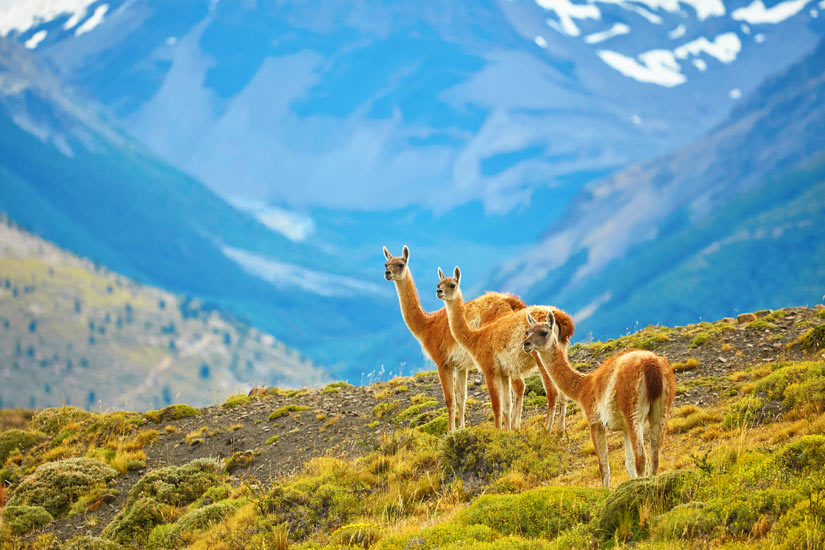 (Image)-Image-Chili-Torres-del-paine-01-it_526060743.jpg