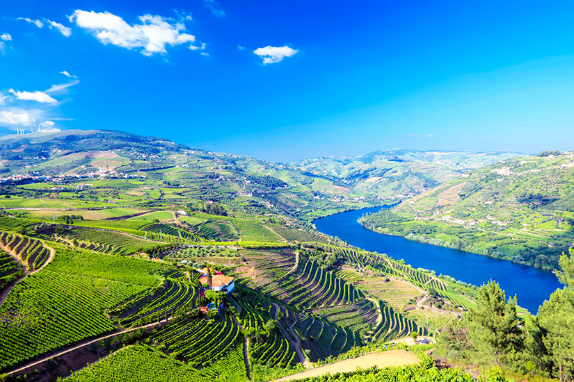 (Image)-image-Portugal-Vallee-du-Douro-panorama-02-it_27391715-09032017.jpg